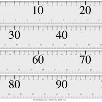 large-print-meter-stick-with-10cm-markers.jpg