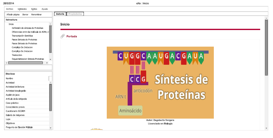 sintesis_proteinas.png
